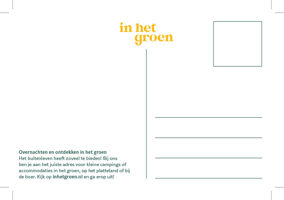Zakjes zonnebloemzaden (doos 50 stuks)